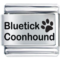 Italian Charms - animal bluetick coonhound laser italian charm bracelets Image.