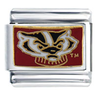 Italian Charms - wisconsin badger head sports italian charm Image.