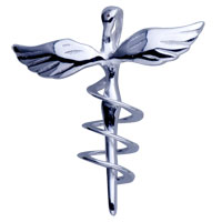 Pendants - lpn badge 925 sterling silver pendant Image.