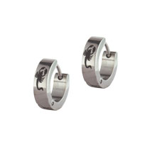 Stainless Steel Jewelry - stainless steel scorpion earrings Image.