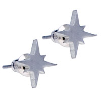 Earrings - star stainless steel earrings Image.