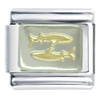Italian Charms - pisces fishes italian charm Image.