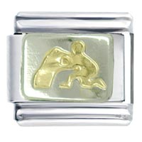 Italian Charms - aquarius water bearer italian charm Image.