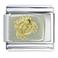 Italian Charms - cancer crab italian charm Image.