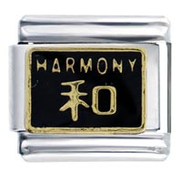 Italian Charms - chinese harmony black italian charm Image.