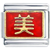 Italian Charms - beauty in chinese italian charm Image.