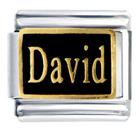 Italian Charms - david name italian charm Image.