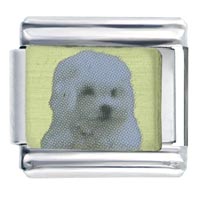 Italian Charms - maltese dog photo italian charm Image.