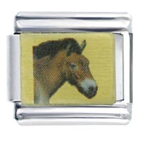 Italian Charms - mongolian horse photo italian charm Image.