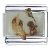 Italian Charms - bulldog brown photo italian charm Image.