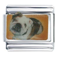 Italian Charms - bulldog black photo italian charm Image.