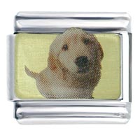 Italian Charms - labrador retriever photo italian charm Image.