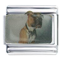 Italian Charms - boxer dog photo italian charm Image.