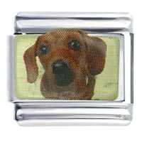 Italian Charms - cute dachshund dog photo italian charm Image.