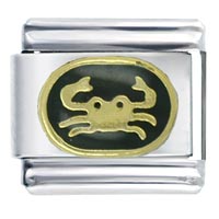 Italian Charms - cancer black italian charm Image.