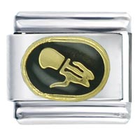 Italian Charms - aquarius black italian charm Image.