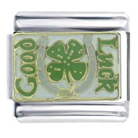 T6069: good luck italian charm Image.