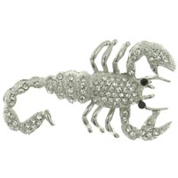 Brooches & Pins - scorpion brooch Image.