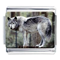 Italian Charms - standing wolf photo italian charm Image.