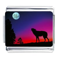 Italian Charms - wolf at sundown photo italian charm Image.