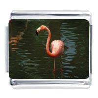 Italian Charms - flamingo in water italian charm Image.