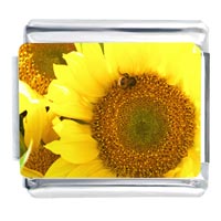 Italian Charms - sunflower close up photo italian charm Image.