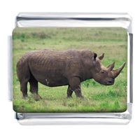 Italian Charms - big horn rhino photo italian charm Image.