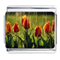 Italian Charms - tulips photo italian charm Image.