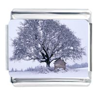 Italian Charms - winter tree photo italian charm Image.