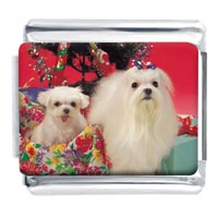 Italian Charms - christmas maltese photo italian charm Image.