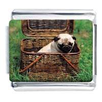 Italian Charms - pug picnic photo italian charm Image.
