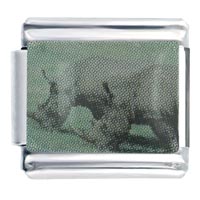 Italian Charms - rhinos on green field photo italian charm Image.
