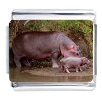 Italian Charms - hippo family photo italian charm Image.