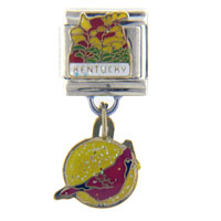 Italian Charms - kentucky state bird &amp; flower italian charm Image.
