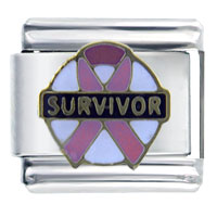 Italian Charms - breast cancer survivor italian charm Image.