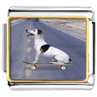 Italian Charms - skateboarding dog photo italian charm Image.