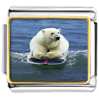 VPH017: boogie boarding polar bear photo italian charm Image.