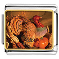 Italian Charms - november topaz color turkey photo italian charm Image.
