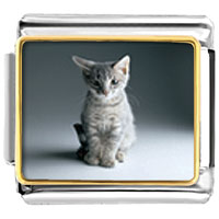 Italian Charms - kitty portrait photo italian charm Image.
