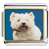 Italian Charms - west highland terrier photo italian charm Image.