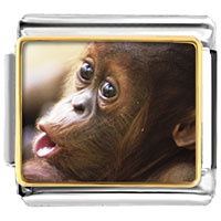 Italian Charms - goofy monkey photo italian charm Image.
