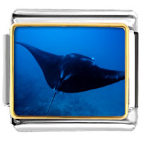 Italian Charms - ocean stingray photo italian charm Image.