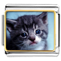 Italian Charms - grey kitty photo italian charm Image.