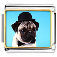 Italian Charms - pug dog in a derby hat photo italian charm Image.