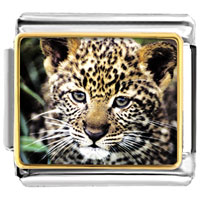 Italian Charms - baby leopard cub photo italian charm Image.