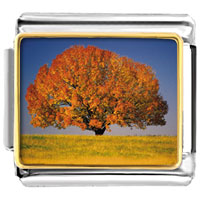 Italian Charms - tree in autumn photo italian charm Image.