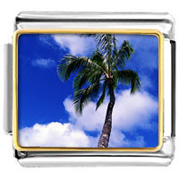 Italian Charms - tropical palm tree photo italian charm Image.