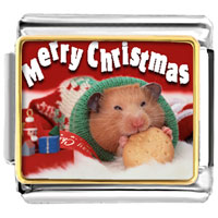 Italian Charms - christmas hamster with cookie photo italian charm Image.