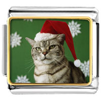 Italian Charms - christmas cat looking good photo italian charm Image.