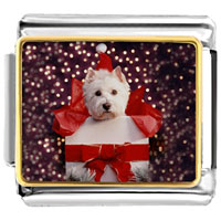 Italian Charms - puppy christmas gift photo italian charm Image.
